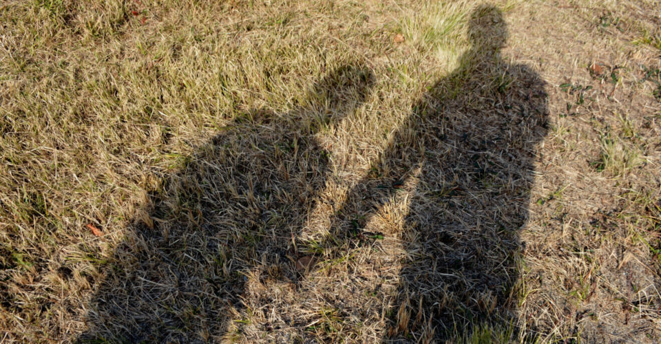 手を繋いでいる影の写真